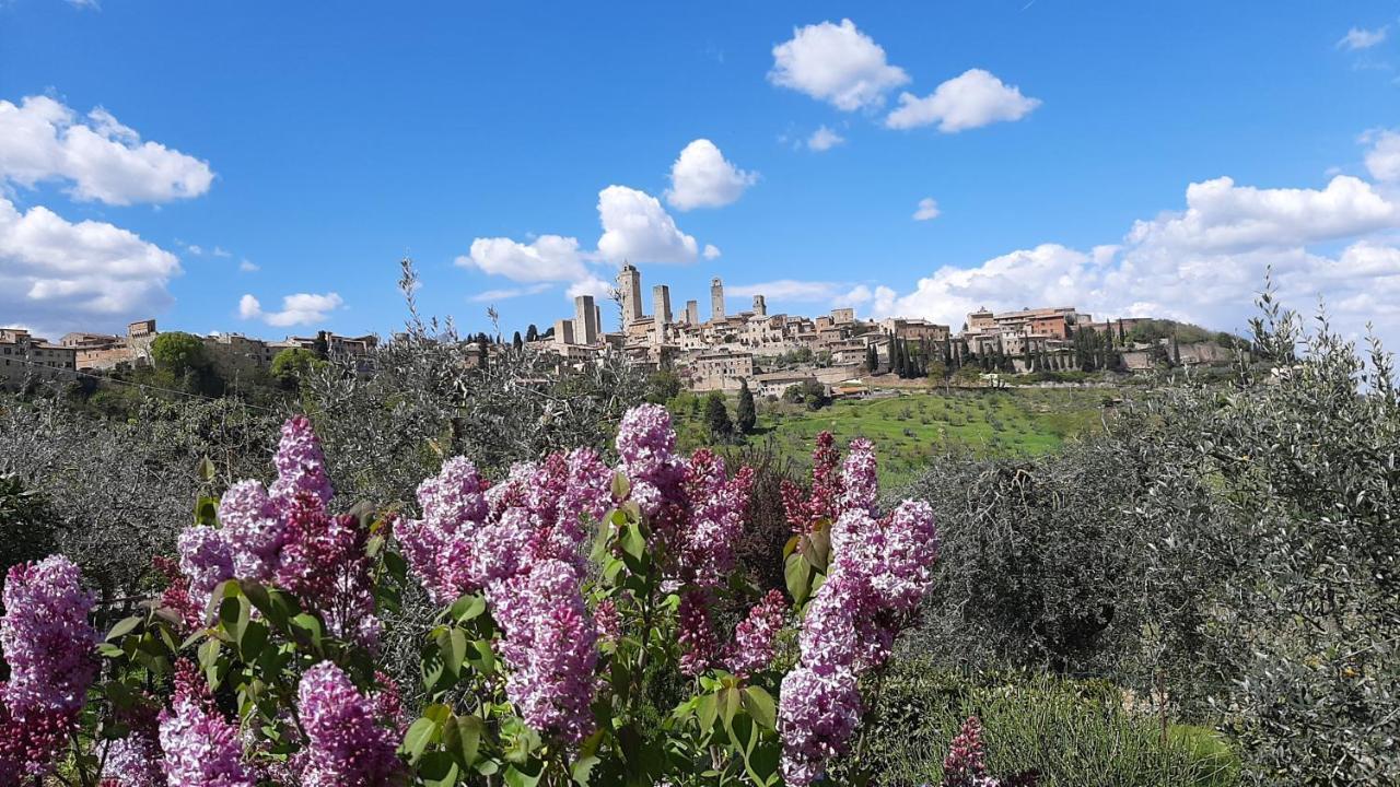 Villa Antico Casolare San Gimignano Exterior foto