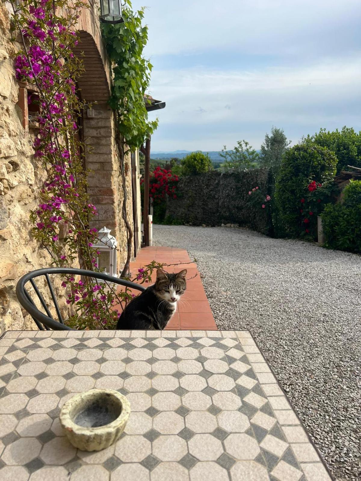 Villa Antico Casolare San Gimignano Exterior foto