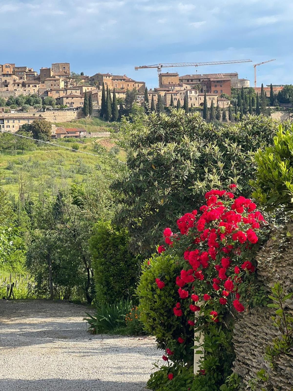 Villa Antico Casolare San Gimignano Exterior foto