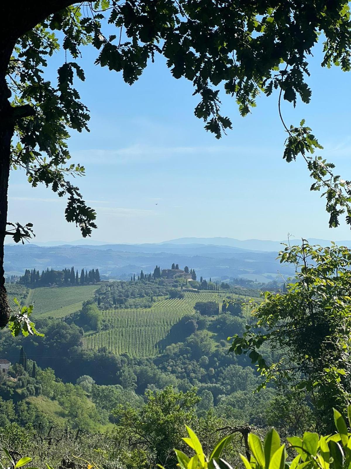 Villa Antico Casolare San Gimignano Exterior foto