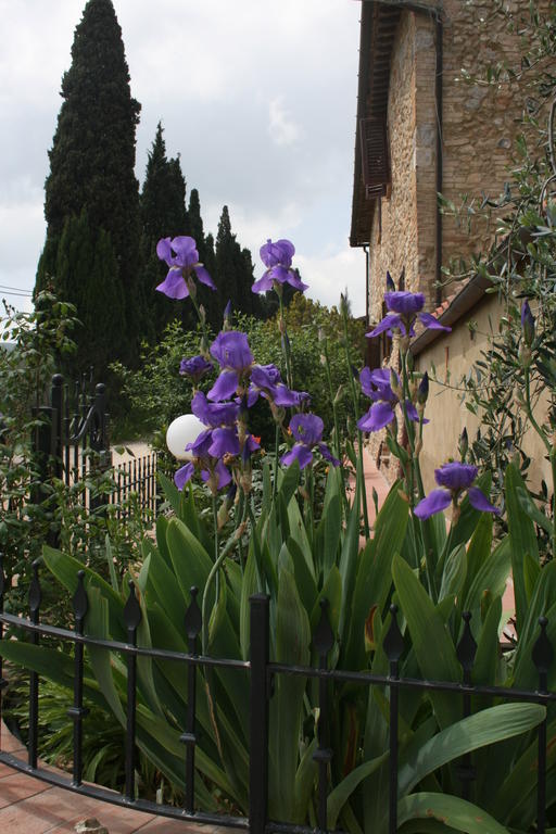 Villa Antico Casolare San Gimignano Exterior foto